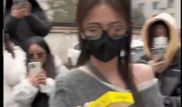 文安吃瓜爆料视频大全,视频大全带你领略网络热点风云