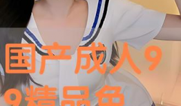 国产视频精品99,匠心独运，光影流年